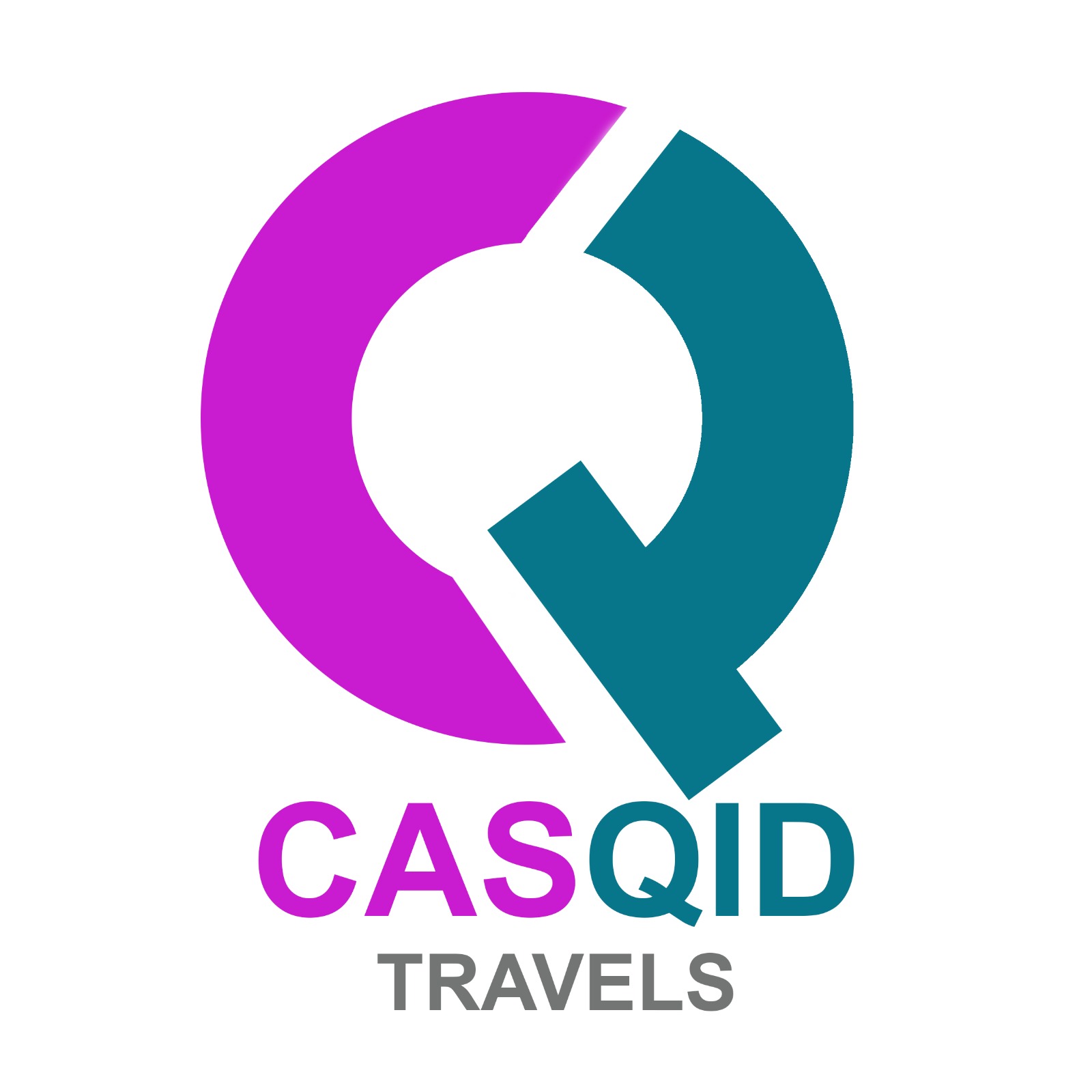 CasQid Logo